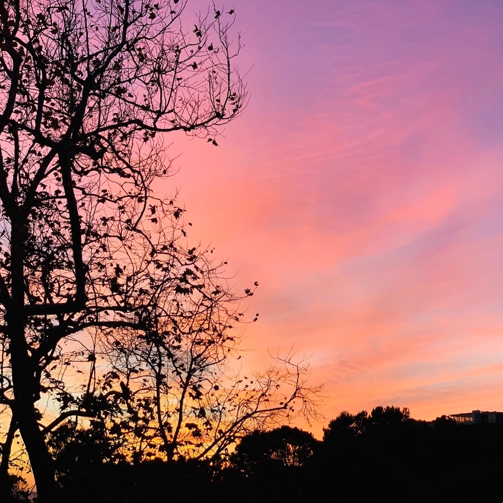 Meet your Posher, Sirk